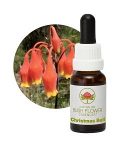 Christmas Bell, 15 ml